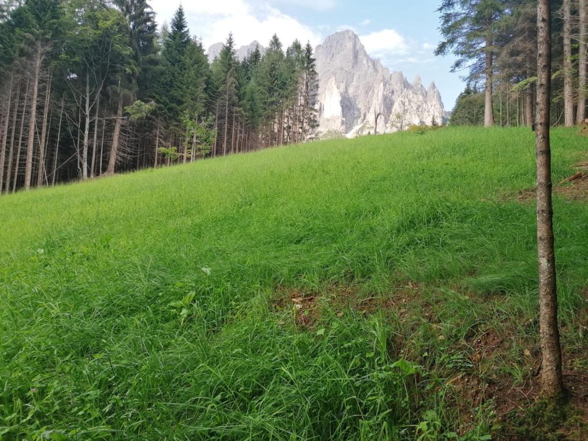 Baita Pra Petina Pale di San Martino Siror Bagian luar foto