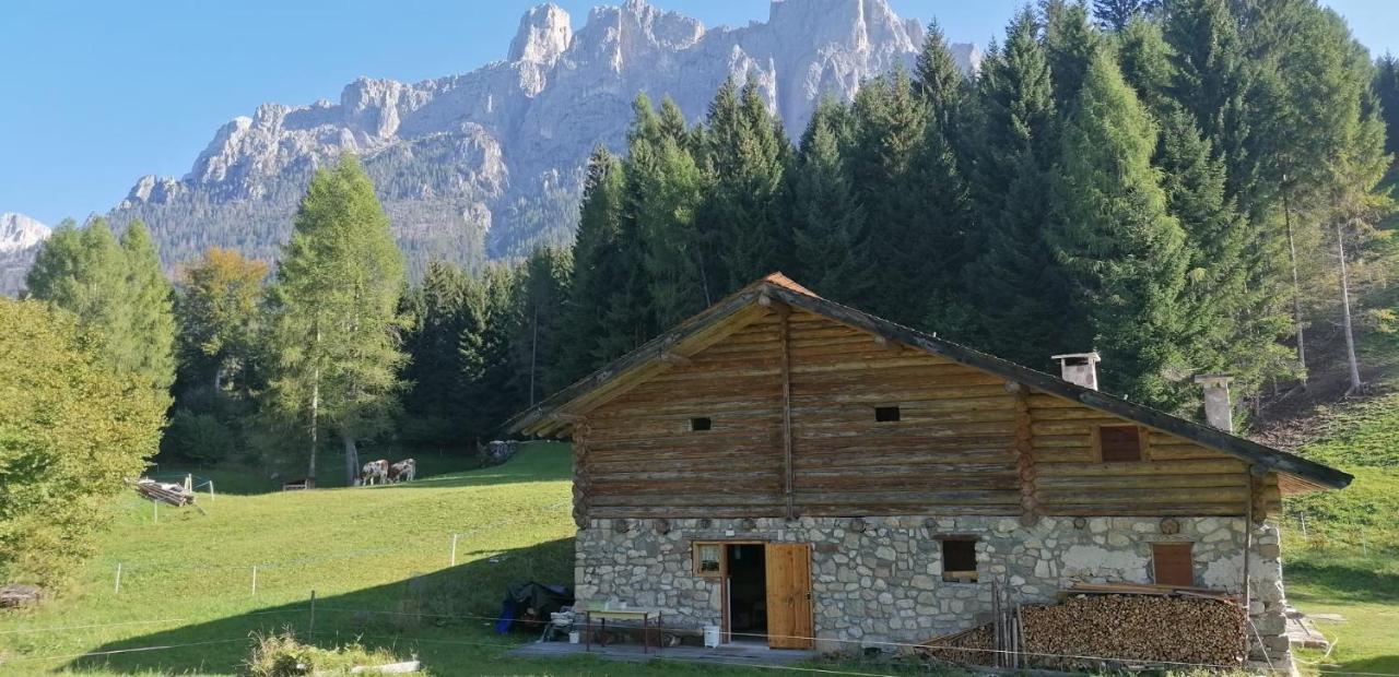 Baita Pra Petina Pale di San Martino Siror Bagian luar foto